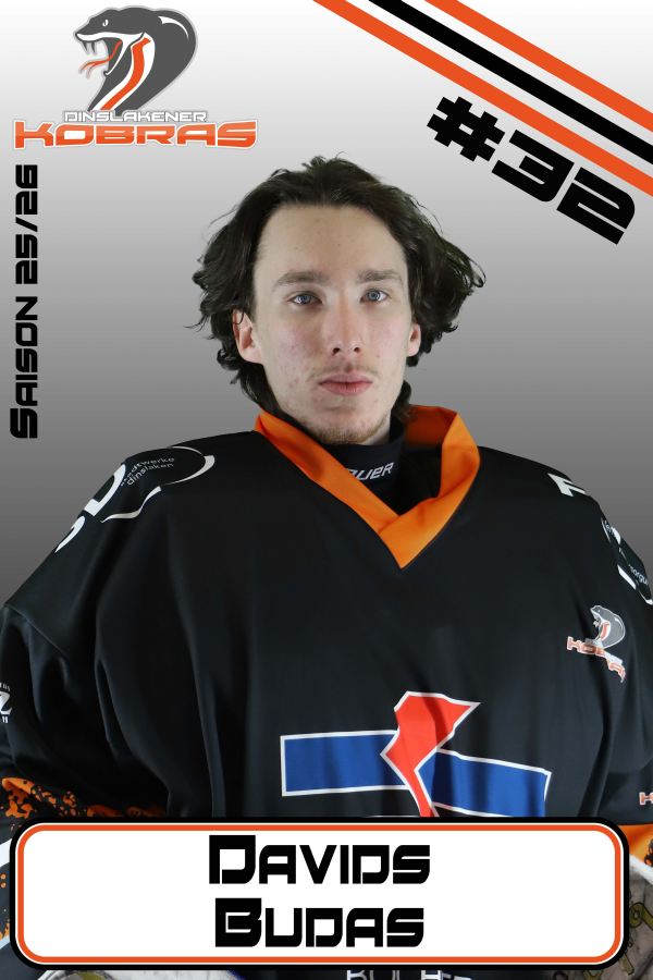 #32 Davids Budas